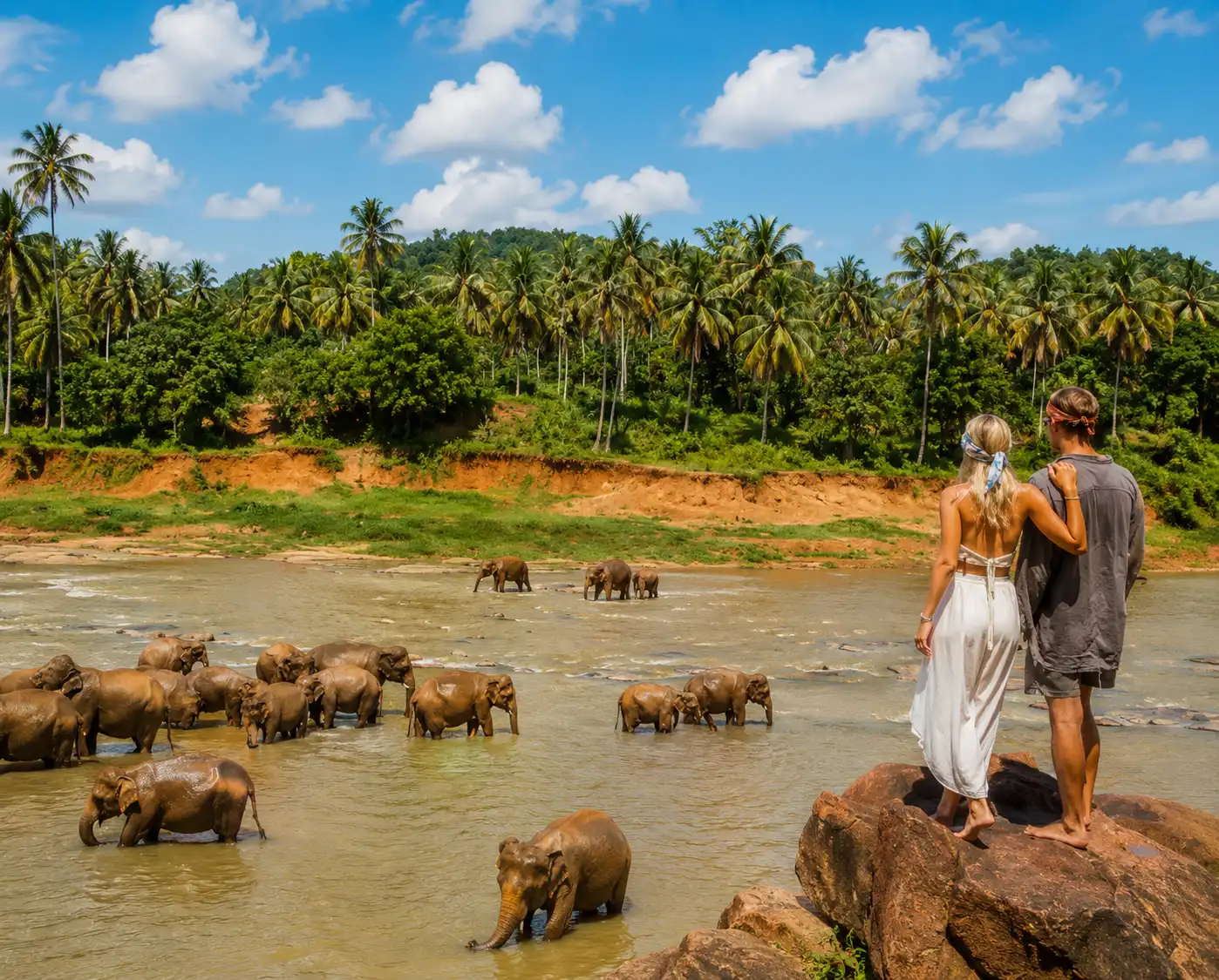 Private Honeymoon Tour Sri Lanka - Romantic - photo 3