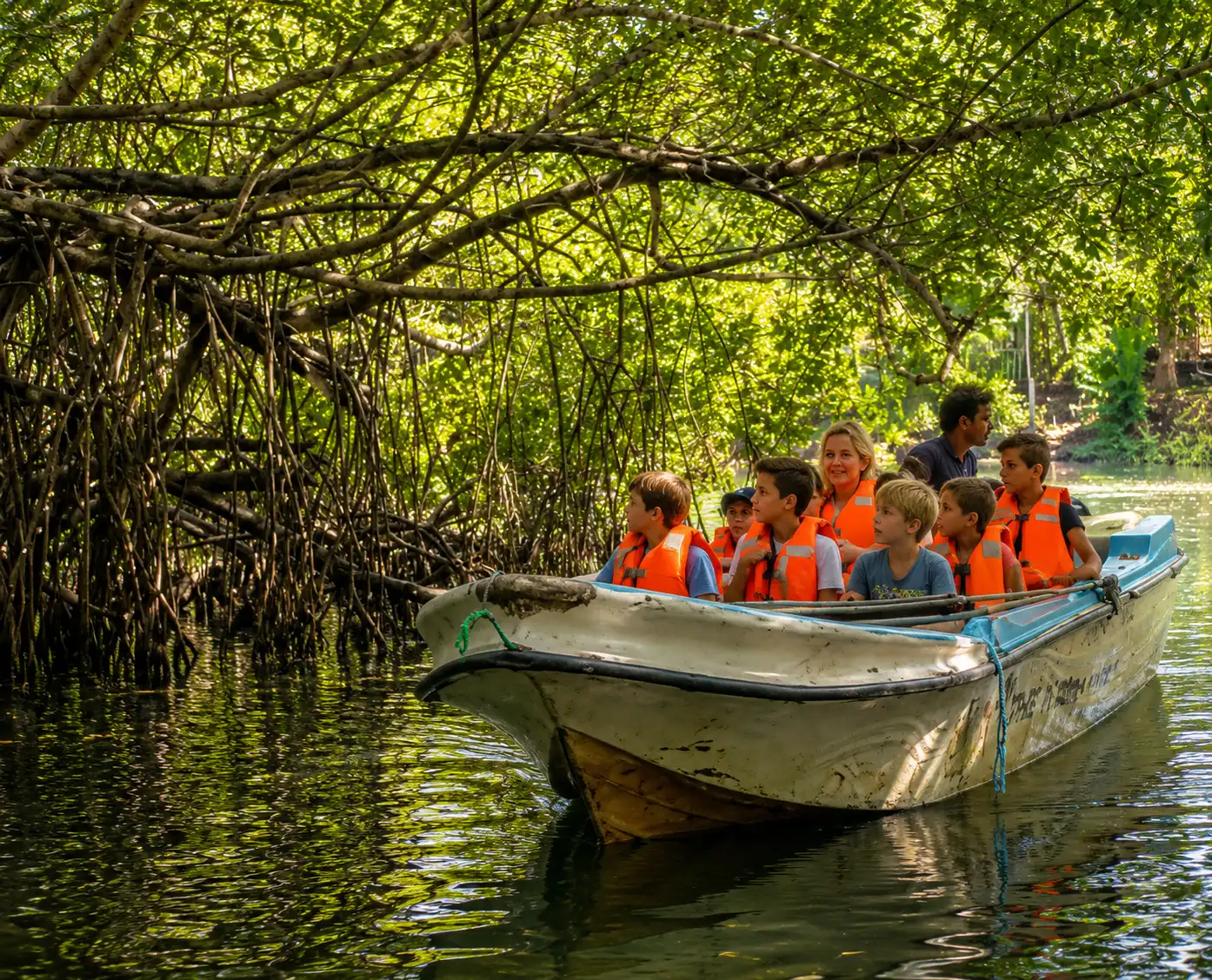 Bentota River Safari Sri Lanka - Mangroves