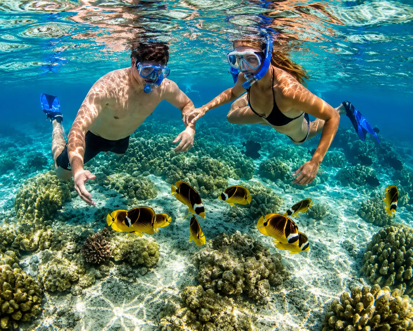 Hikkaduwa Snorkeling Sri Lanka - Sea Turtles