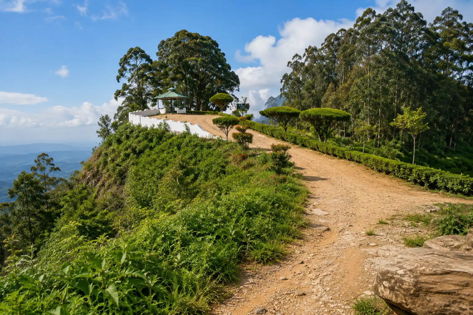Lipton's Seat Tour Sri Lanka - Tea Estate - photo 3