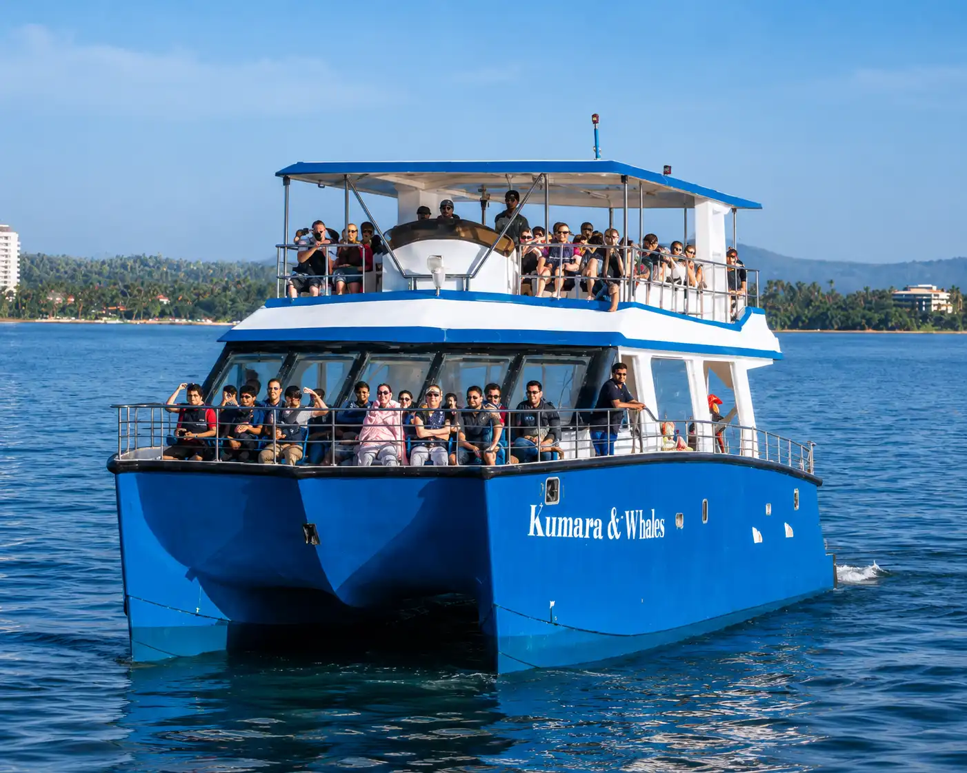 Mirissa Whale Watching Sri Lanka - Blue Whales - photo 2