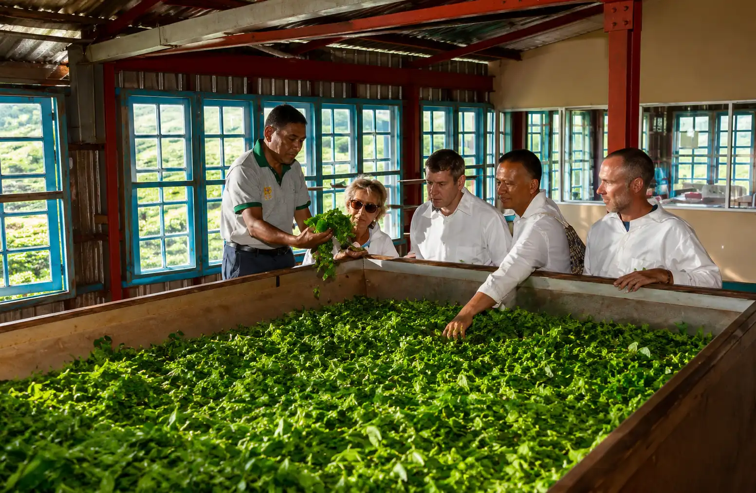 Ceylon Tea Factory Tour Sri Lanka - photo 3