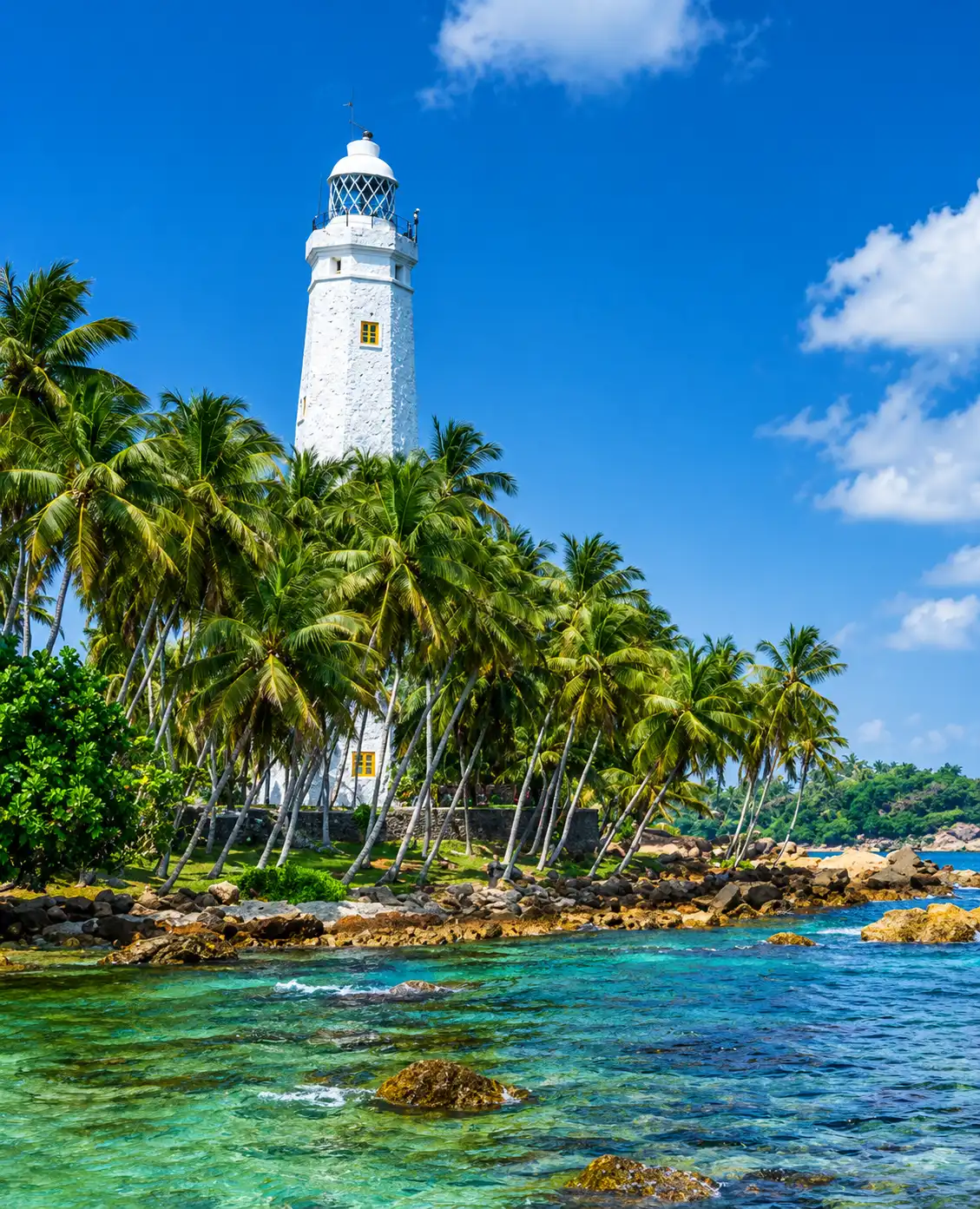 Unawatuna Beach Sri Lanka - Snorkeling & Reefs - photo 3